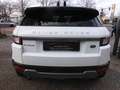 Land Rover Range Rover Evoque 2.0TD4 SE Dynamic*VOLLAUSST.* Blanc - thumbnail 24