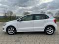 Volkswagen Polo 1.4 Comfortline*KLIMA*ALU*TÜV*5 TRG* Bianco - thumbnail 8
