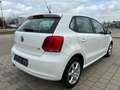 Volkswagen Polo 1.4 Comfortline*KLIMA*ALU*TÜV*5 TRG* Bianco - thumbnail 3
