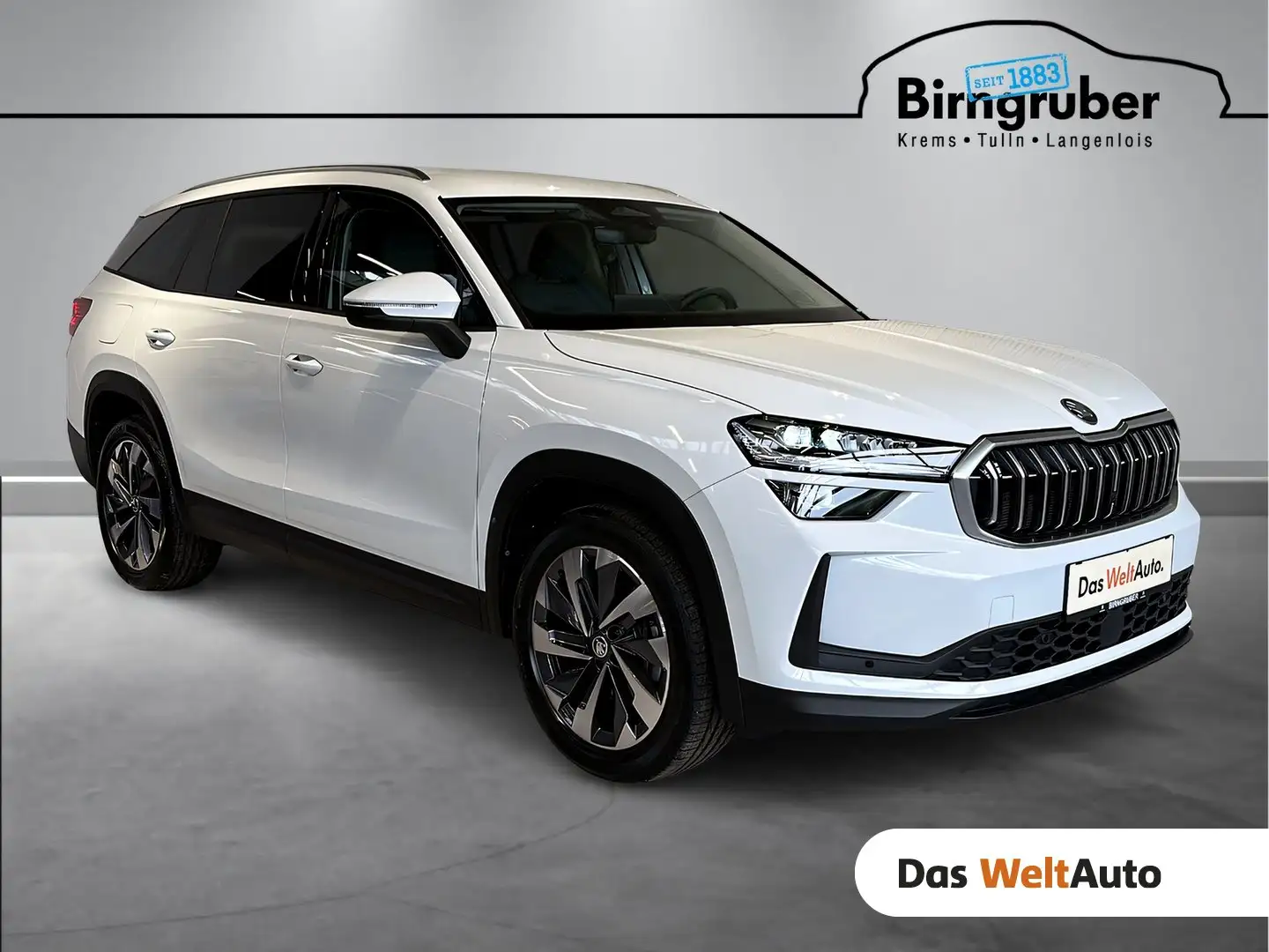 Skoda Kodiaq Selection TDI DSG Weiß - 1