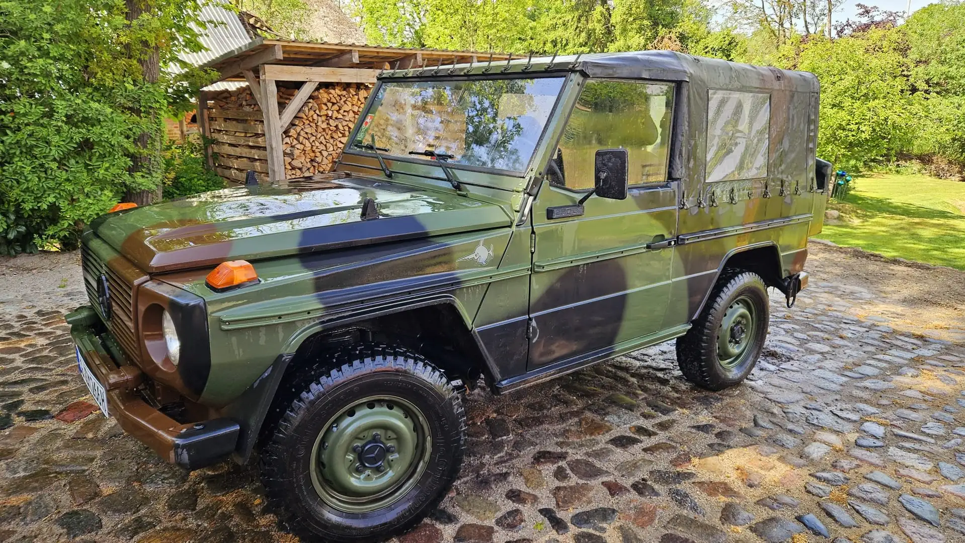 Mercedes-Benz G 250 250 GD Vert - 1