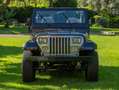 Jeep Wrangler YJ Yukon Schwarz - thumbnail 26