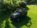 Jeep Wrangler YJ Yukon Schwarz - thumbnail 20