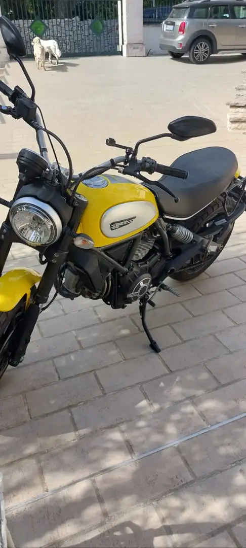 Ducati Scrambler Icon 800 Yellow - 1
