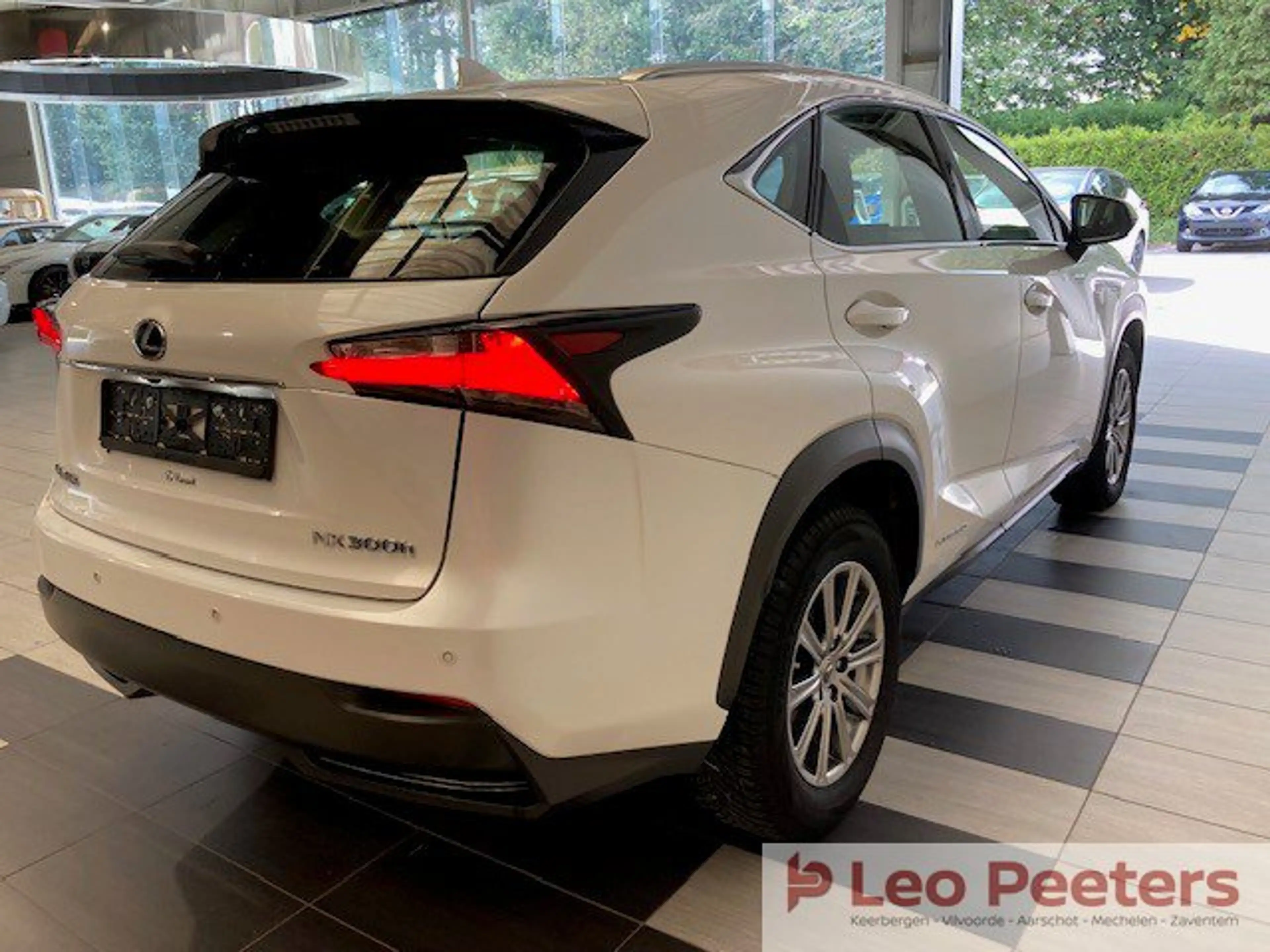 Lexus NX 300h — photo 5