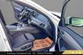 BMW 530 d xDrive M Sport // SCHIEBEDACH // AMBIENTE // Weiß - thumbnail 20