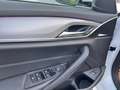 BMW 530 d xDrive M Sport // SCHIEBEDACH // AMBIENTE // Bianco - thumbnail 15