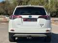 Toyota RAV4 2.5 hybrid 2WD Feel! Blanco - thumbnail 6