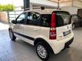 Fiat Panda 1.2 4x4 Climbing Wit - thumbnail 6