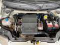 Fiat Panda 1.2 4x4 Climbing Bianco - thumbnail 23