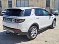 Land Rover Range Rover Sport T 2.0 TD4 HSE LUXURY AWD AUT. Prezzo al pubblico Bianco - thumbnail 5