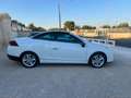 Renault Megane C-C 1.9 dCi 130 CV Luxe Bianco - thumbnail 12