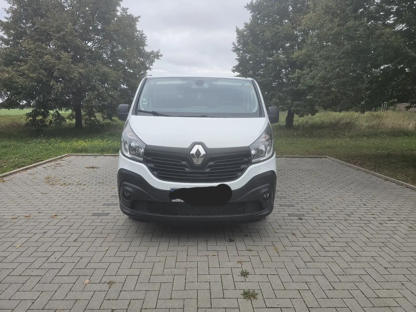 Renault Trafic ENERGY dCi 125 Combi Expression - 2