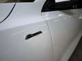 Ford Focus Active *GJR-SHZ-GRA* Blanc - thumbnail 6