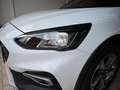 Ford Focus Active *GJR-SHZ-GRA* Blanc - thumbnail 5