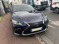 Lexus ES 300 LEXUS ES 300H LUXE Blauw - thumbnail 10