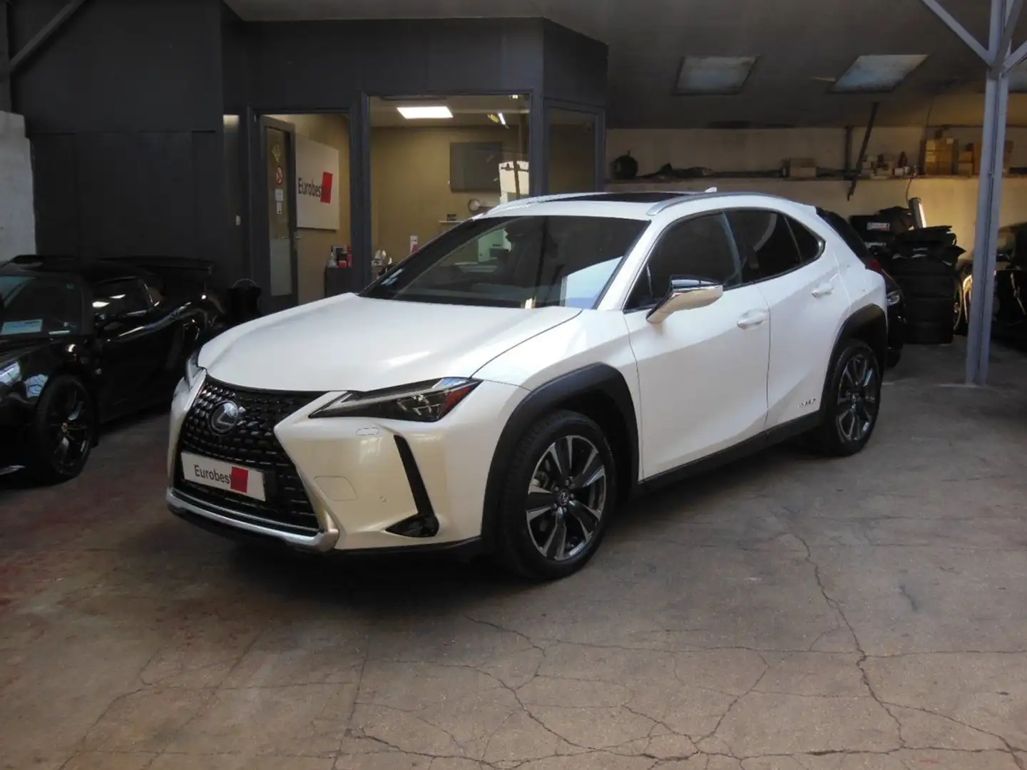 Lexus UX 250h 250H 4WD EXECUTIVE MY19 Blanc - 1