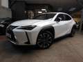 Lexus UX 250h 250H 4WD EXECUTIVE MY19 Blanco - thumbnail 10