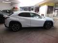 Lexus UX 250h 250H 4WD EXECUTIVE MY19 Blanc - thumbnail 5