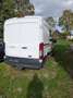 Ford Transit 310 L2 Trend Weiß - thumbnail 4