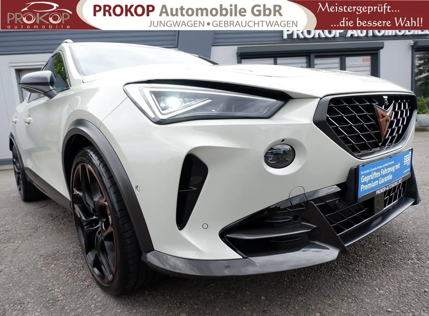 CUPRA Formentor VZ5 Edition Taiga 4Drive Nr. 265/999 Matrix Memory Gris - 2