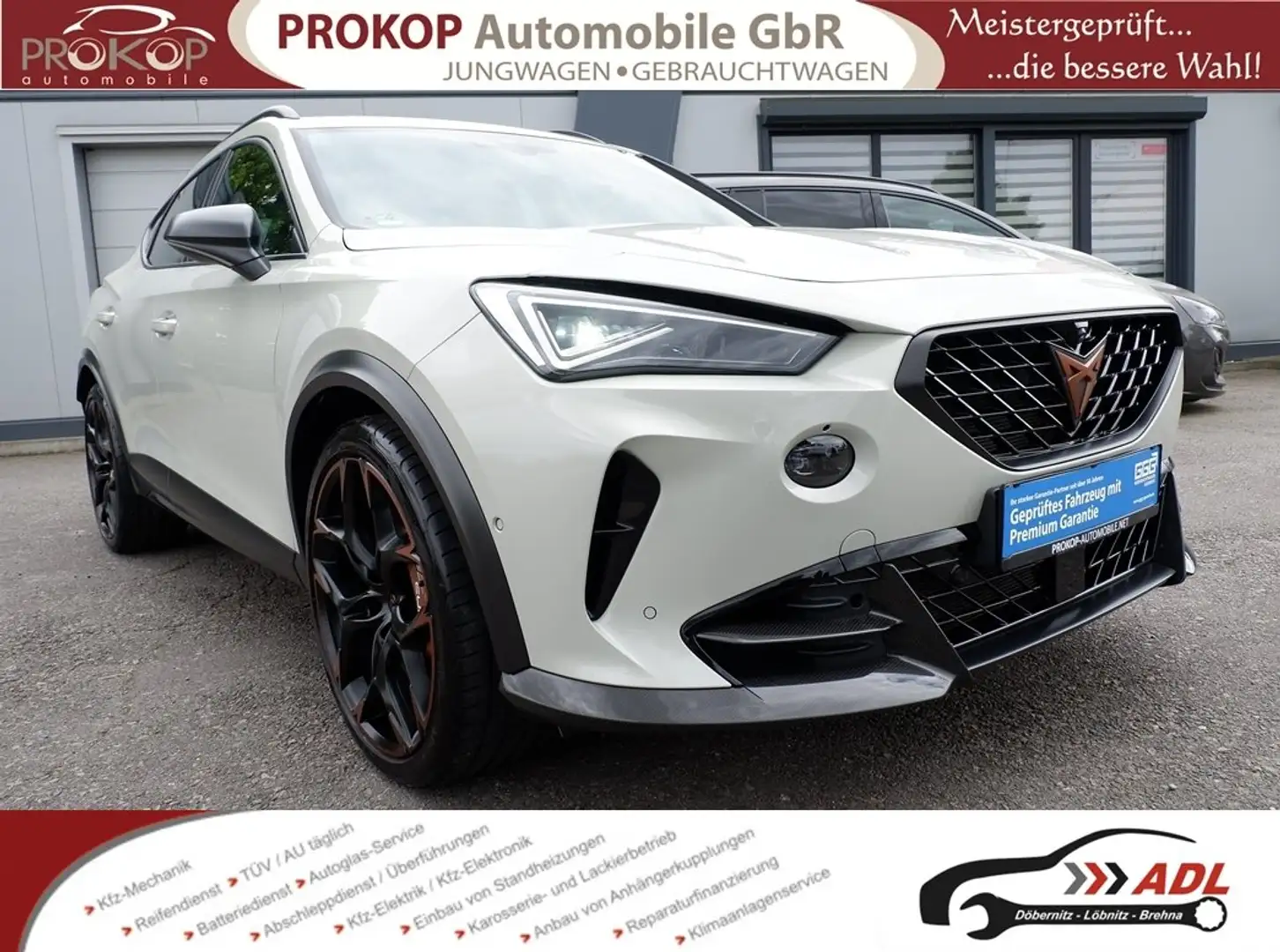 CUPRA Formentor VZ5 Edition Taiga 4Drive Nr. 265/999 Matrix Memory Gris - 1