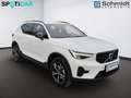Volvo XC40 Plus, B3 Mild Hybrid, Benzin, Dark Weiß - thumbnail 5