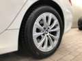 BMW 320 320i Bianco - thumbnail 3