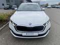 Skoda Octavia Combi 1.5 TSI 17"+NAVI-COLUMBUS+MATRIX-L Blanc - thumbnail 7