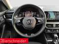 Skoda Kamiq 1.5 TSI DSG Style LED NAVI RFK PDC SHZ Weiß - thumbnail 16