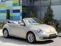 Volkswagen Beetle 2.0TDi // Design // LEDER // GARANTIE Argent - thumbnail 7