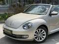 Volkswagen Beetle 2.0TDi // Design // LEDER // GARANTIE Argent - thumbnail 15