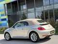Volkswagen Beetle 2.0TDi // Design // LEDER // GARANTIE Argent - thumbnail 14