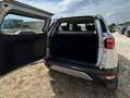 Ford EcoSport EcoSport 1.5 tdci Business c/navi 95cv Argento - thumbnail 11