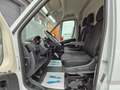 Opel Movano MOVANO 2,3 CDTI KLIMA TEMPOMAT TOUCH DISPLAY Weiß - thumbnail 14