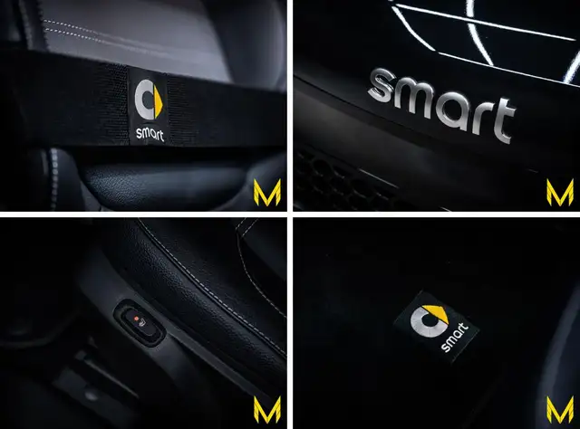 Smart Fortwo view 15