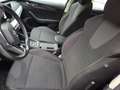 Skoda Octavia Octavia Wagon 1.5 g-tec Executive 130cv dsg Blu/Azzurro - thumbnail 6