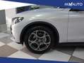 Alfa Romeo Stelvio 2.2 D Sprint RWD 160cv AUT Zilver - thumbnail 8