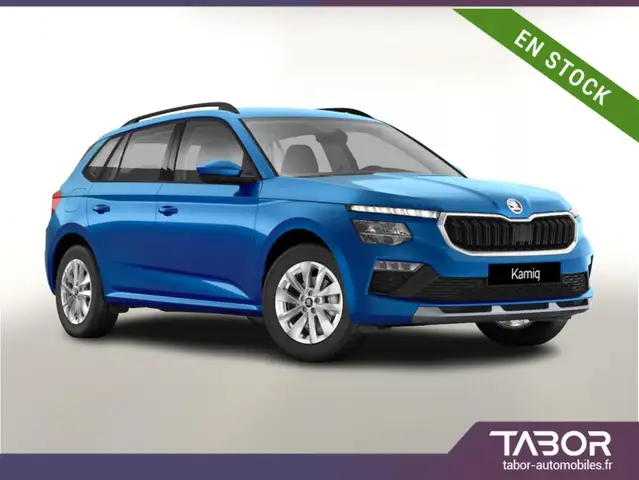 Skoda Kamiq 116 Selec Lodge GPS Cam siegesChauf