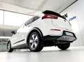 Kia Niro 1.6 HEV Drive Weiß - thumbnail 17