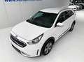 Kia Niro 1.6 HEV Drive Weiß - thumbnail 16