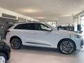 Audi Q5 SUV TDI quattro 150 kW Weiß - thumbnail 4