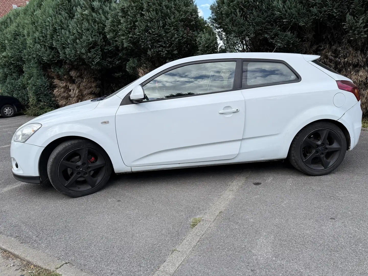 Kia ProCeed / pro_cee'd 1.6 Turbo CRDi VGT iBlack/iWhite - 2