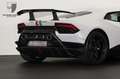 Lamborghini Huracán Huracán Performante BigCarbonPack/AdPersonam/PPF Weiß - thumbnail 12