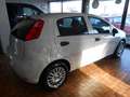 Fiat Punto 1.4 8V 5P Easypower Splendida! Bianco - thumbnail 3