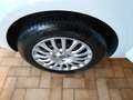 Fiat Punto 1.4 8V 5P Easypower Splendida! Bianco - thumbnail 13