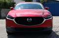 Mazda CX-30 e-Skyactive G140 Exclusive-Line Aut. Rot - thumbnail 2