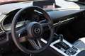Mazda CX-30 e-Skyactive G140 Exclusive-Line Aut. Rot - thumbnail 8
