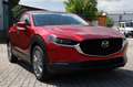 Mazda CX-30 e-Skyactive G140 Exclusive-Line Aut. Rot - thumbnail 1