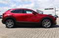 Mazda CX-30 e-Skyactive G140 Exclusive-Line Aut. Rot - thumbnail 3